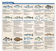 tampa bay fishing calendar fishing charters st pete beach