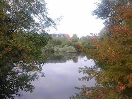 Die 10 Besten Restaurants In Bad Oldesloe 2021 Mit Bildern Tripadvisor