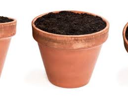 Container gardens need a soil mix specially formulated for holding the water while allowing for good drainage and keeping the roots healthy. Sterilizing Soil How To Sterilize Soil