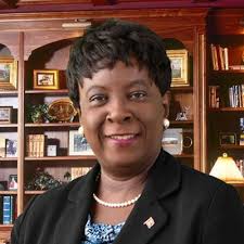 Cabinet submission goes public