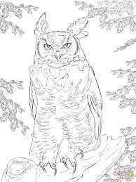 Realistic Great Horned Owl Owl Coloring Pages Owls Drawing Bird Coloring Pages