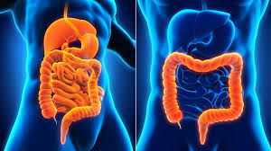 3 Key Difference Between Crohns Disease And Ulcerative