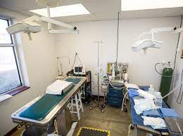 Check spelling or type a new query. Animal Hospital Veterinarian Nixa Mo Gentle Care Animal Hospital