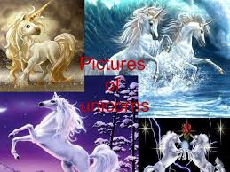 The central or equatorial attachment occurs only in the unicorn tapestries. Unicorns