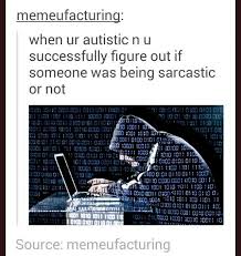 Pin By Lolz On Autism Autistic Understanding Autism Aspergers Autism