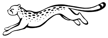 Only quicksilver can run away from the cheetah. Easy Drawing Of A Cheetah Novocom Top