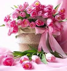 Fiori primavera natura giardino fiore rosa colorato flora tulipano tulipani. Moment Fiori Di Compleanno Rose Belle Immagini Di Fiori