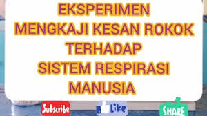 Mereka akan merokok sebelum memulakan. Alpharad Sub Count Chu Kesan Merokok Terhadap Janin