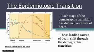 The Epidemiologic Transition Model Mr Sinn Human Geography Human Geography Ap Human Geography Demographic Transition