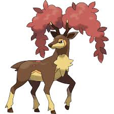 barracheolok - NamuWiki