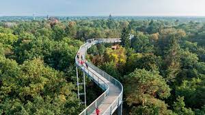 Unbekannte haben am samstag in den beelitzer heilstätten mit einem kurzgeschlos. Baumkronenpfad Baum Zeit In Beelitz Heilstatten Youtube
