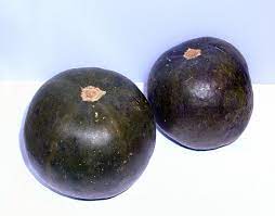 We did not find results for: Gem Squash Cooksinfo