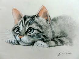 Emine Seremet Adli Kullanicinin Cat In Art Panosundaki Pin Cizim Hayvanlar Kedi