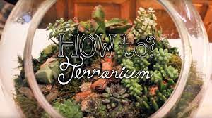 And i have a tutorial on how to make a desert terrarium if you want some help. Make A Succulent Terrarium How To Terrarium Ep 1 Youtube