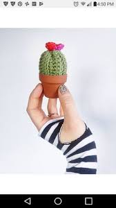 In the sequel to insignificant events in the life of a cactus (2017), aven green confronts her biggest challenge yet: 200 Crochet Cactus Plants Ideas Crochet Cactus Crochet Cactus