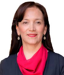 Junta Directiva Ambientales