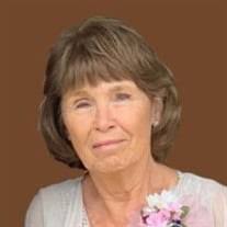 Debbie J. "Nan" Dixon Obituary (2023)