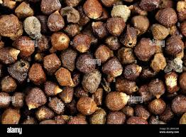 Image result for Aframomum mala