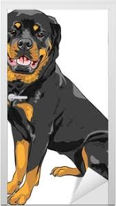 Poster Cane Vettore Rottweiler Di Razza Pixers Viviamo Per Il Cambiamento