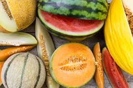 Ein modalsatz ist ein nebensatz, der beschreibt, auf welche art und weise etwas gemacht wird oder passiert. Melonenarten Und Sorten Melonen In Deutschland Anbauen