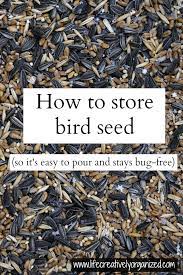 Pin On Creative Ideas To Enjoy Wildlife