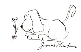 What have you done with dr. When James Thurber Tried To Improve His Drawings E B White Told Him Don T Do That If You Ever Got Good You D Be Mediocre Imgur