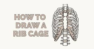 Human ribs diagramnumbered / an inhalation is accomplished when the muscular diaphragm, at the floor of the thoracic cavity, contracts and flattens, while the contraction of intercostal muscles lift the rib cage up and out. How To Draw A Rib Cage Really Easy Drawing Tutorial