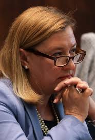 Illinois Rep. Anna Moeller won't run for congressional seat