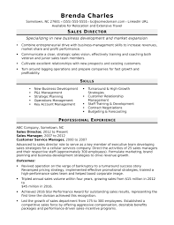 Not only does a resume reflect a person's unique set of skills and experience, it should also be customized to the job or industry being pursued.think about it: Sales Director Resume Sample Monster Com