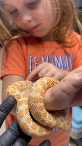 Transform Your Life: Embracing Change and Renewal with Purpose