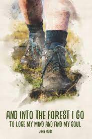 And into the forest i go. And Into The Forest I Go To Lose My Mind And Find My Soul Blank Lined Journal For Hikers Nature Lovers Wood Graphics Annette Amazon De Bucher