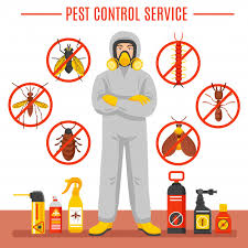 Fed up of the cockroaches in the kitchen… want to get rid of the having huge clientele, we are engaged in providing unparalleled pest eradication services in ahmedabad cockroaches pest control in india. Best Quality Pest Control Services Near Me Safaiwale