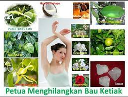 Setiap orang pasti memiliki kelenjar keringat. Jual Obat Bpom Penghilang Bau Badan Ketiak Tak Sedap Jamu Menghilangkan Keringat Tidak Sedap Menyegarkan Mengharumkan Napas Aman Herbal Tanpa Efek Samping Di Lapak Barokah Herbal Bukalapak