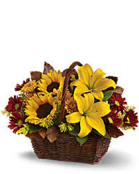 We did not find results for: Flower Plant Gift Baskets Delivered Teleflora