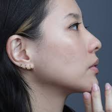 20g Twin Hoop, 316L Surgical Steel Double Twin Hinged Segment Ring, Helix,  Cartilage, Tragus, Nose Clicker