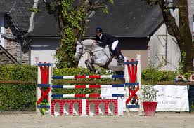 La Position Neutre Base Indispensable En Saut 169 saut obstacle premium high res photos. equipedia ifce