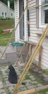 Pvc coated galvanised steel chicken wire aviary mesh run fencing 24m 36m 48m 96m. A Small Catio Lean To Because The Cats Like To Be Outside Would Be Even Better With A Screen On Top Of The Chic Cat Patio Outdoor Cats Outdoor Cat Enclosure