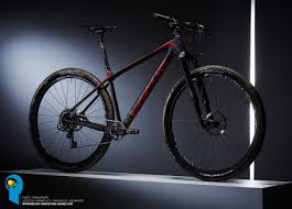Focus Raven Max Team Fahrrad