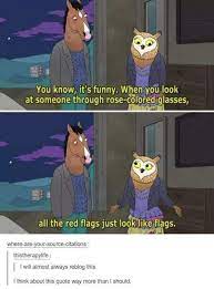 Bojack Horseman Quote When You Look At Someone Through Rose Colored Glasses All The Red Flags Just Look Like Flags Funny Funny Memes Relatable