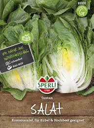 Römischer salat oder romanasalat anbauen im garten. Sperli Saatgut Romanasalat Tantan Samenshop24 Saatgutversand Se