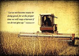 An Inspirational Vintage Style Weathered Photo By Lincoln Rogers Of A Farmer Harvesting A Field Of Grass Hay To Farm Life Quotes Harvest Quotes Farmer Quotes