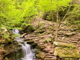 Check spelling or type a new query. Trough Creek State Park James Creek Pa Been There Done That With Kids