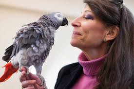 March 27: Harvard researcher in animal cognition, communication to present  Jonas Lecture
