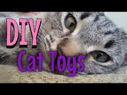 You hold one end at the very tip and kinda swish or drag the other end really quickly on the floor near you cat. Diy Cat Toys Youtube