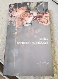 Marcel beyer was born in tailfingen, württemberg, and grew up in kiel and neuss.from 1987 to 1991 he studied german language and literature, english studies and literary studies at the university of siegen; The Idea Of A Sm Exercise Persisted Etudes By Friederike Mayrocker