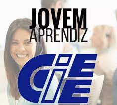 O projeto jovem aprendiz foi criado pelo governo federal com base na lei da aprendizagem que tem como meta capacitar profissionalmente e auxiliar jovens. Jovem Aprendiz Ciee 2021 Inscricoes Vagas