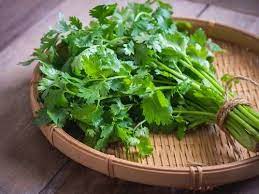 Parsley Vs Cilantro How To Tell The Difference The Times Of India
