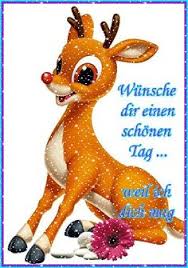 Ich gebe eine junge schimmel brieftaube ab. 770 Schonen Tag Ideen In 2021 Schonen Tag Guten Morgen Guten Morgen Gruss