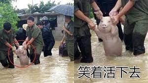 Rains and floods extended to central and eastern china during july and were described as the worst since at least 1998. å¤å è¬è¬éå åå·æ´ªæ°´æ·¹è±¬å¯®ç è¢«æ'åºç«é² ç½ç¬' åé ä¸ç«æ°èç¶²setn Com