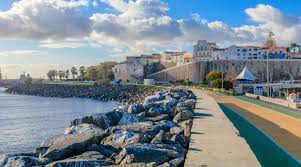 Sines was a weekend ring announcer for mixed martial arts, wrestling matches and boxing, and caudill promotes local pro wresting and mma events. How Can Portugal S Port Of Sines Play A Bigger Role In Assuring Energy Security In The European Union Atlantic Council